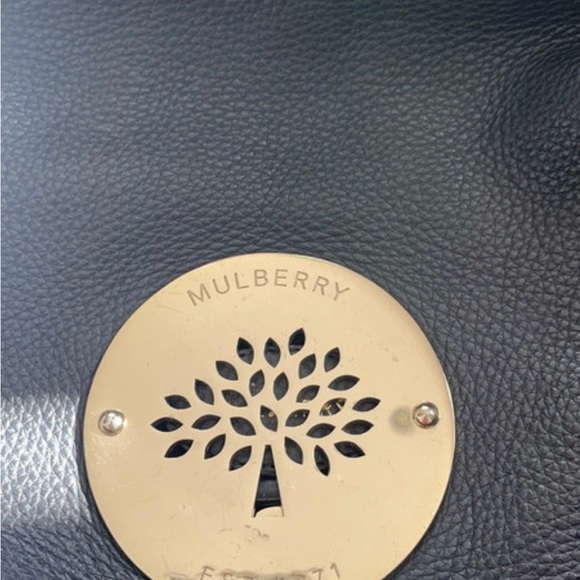 Mulberry Hobo Bag - Picture 6 of 8